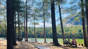 A campground with picnic tables and benches, surrounded by tall trees and a lake.