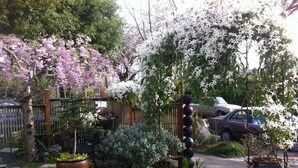Um jardim com diversas plantas, uma cerca de madeira e um carro estacionado por perto.