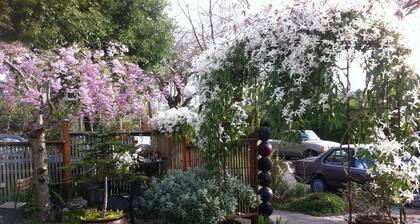 Seattlen parhaimmillaan - Premiere Walking Neighborhood !!