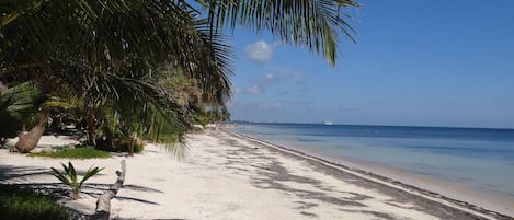 Am Strand, LiegestĂŒhle, StrandtĂŒcher