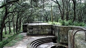Ein steinerner Bau mit einer kreisförmigen Öffnung und Stufen, die hinauf führen, umgeben von dichtem Wald.