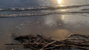 Ein Strand mit Sonnenuntergang, ruhigen Wellen und Treibholz im Sand.