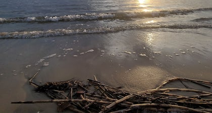 BELL POINT: Pet-Friendly Vacations, Graduations, Reunions, Weddings and more!