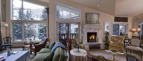 TV, fireplace, DVD player, books