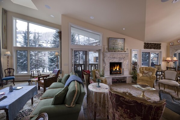 TV, fireplace, DVD player, books