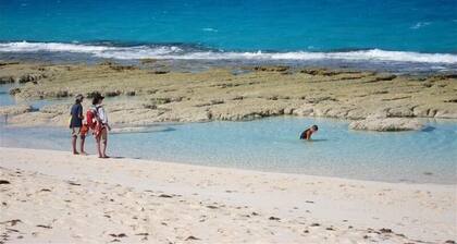 Belle Beach Eco-Chalet sur Stocking Island