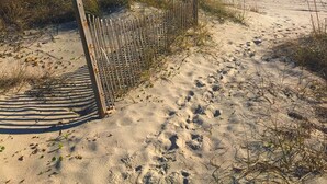En sandstrand med et træhegn og fodspor, der fører ned til vandet.