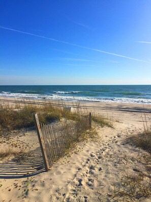 On the beach, sun-loungers -  Oceanfront Beach House on Highly Sought After Ocean Ridge (Atlantic Beach)