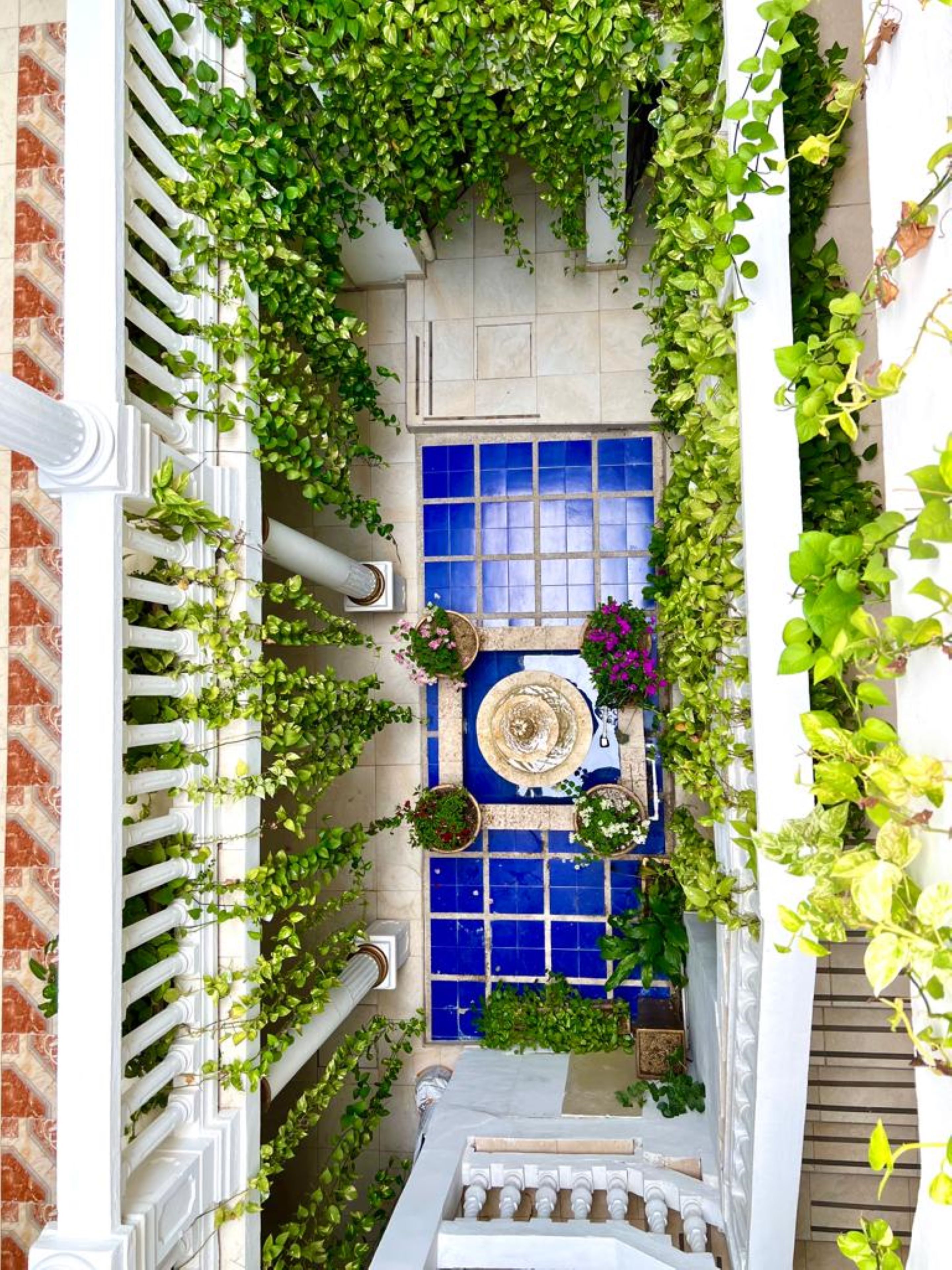 Photo - Hotel AT THE PARK