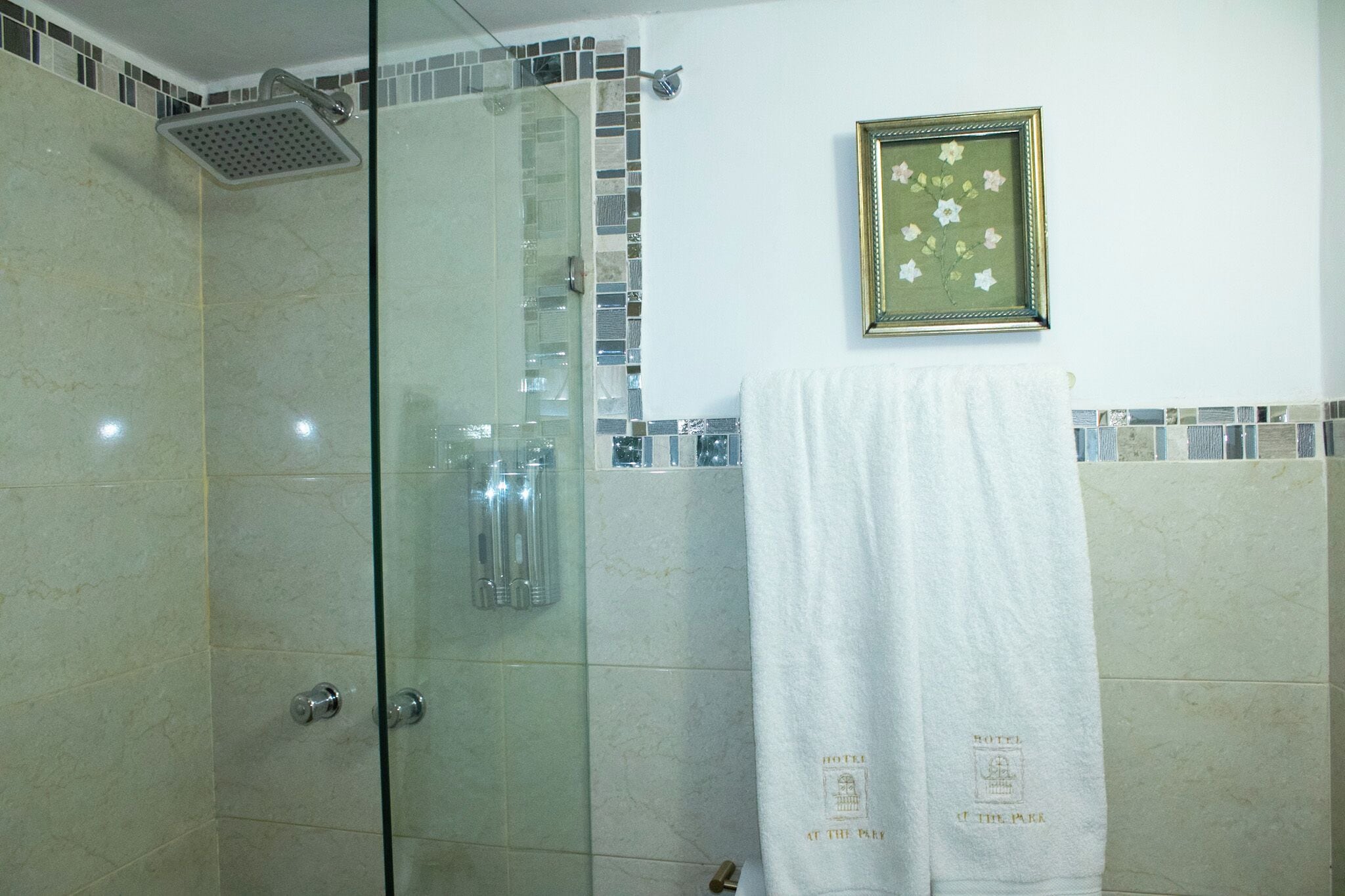 A glass-enclosed shower with a handheld showerhead, a framed floral artwork on the wall, and a towel with "HOTEL AT THE PARK" text.