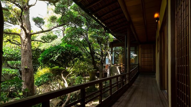 A wooden corridor with a railing, surrounded by lush greenery and trees. - Kazeno Naramachi (Nara)