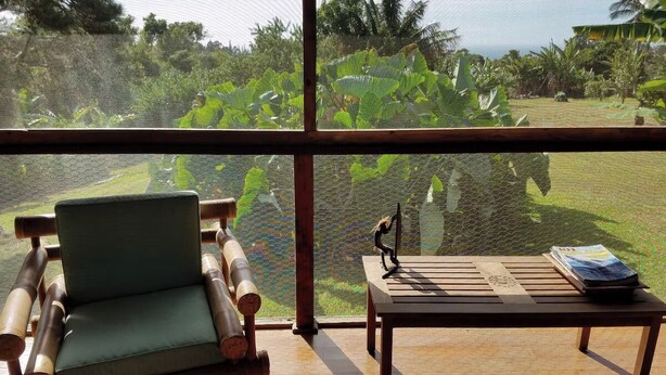 A room with a large window, a green cushioned chair, a wooden table, and a small figurine. - Evergreen Cottage by Maui Adventure Villa (Haiku-Pauwela)