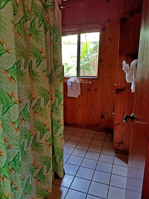 Regadera, amenidades de baño ecológicas, secadora de cabello, toallas