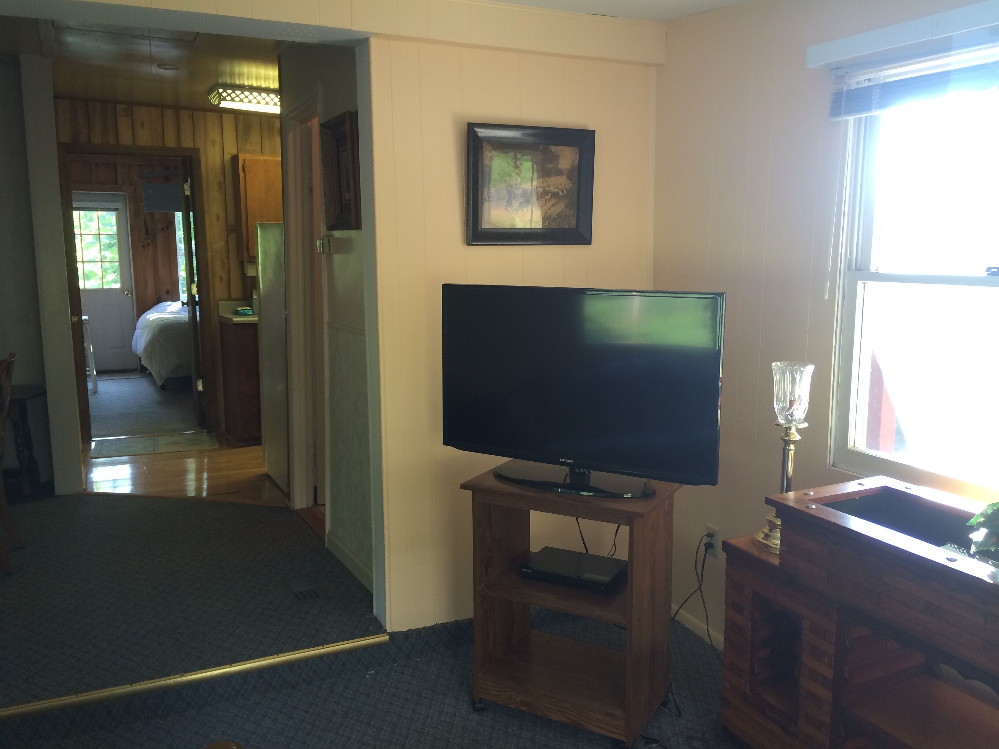 A living room with a flat-screen TV on a wooden stand, a framed picture on the wall, and a window with a view of greenery outside.
