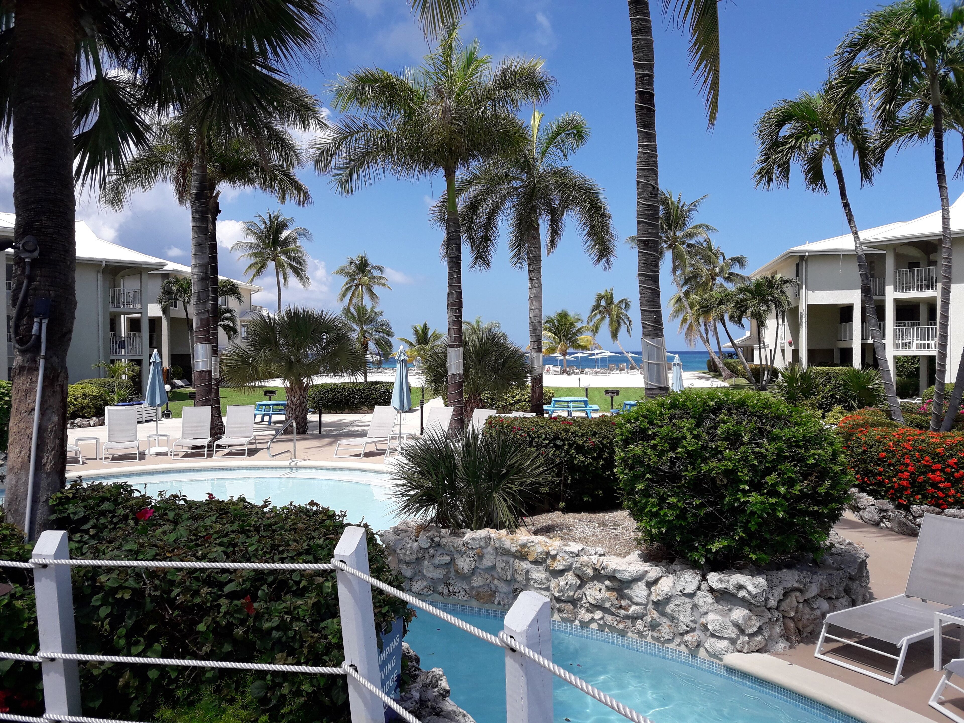 A pool area with lounge chairs, palm trees, and a view of a beach and hotel buildings.