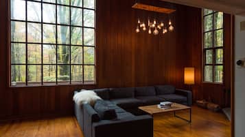 Smart TV, fireplace, Netflix, books