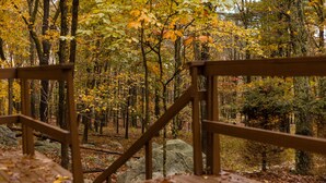 Eine Holzbrücke in einem Wald mit Herbstlaub.