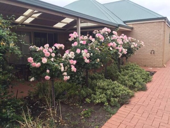 Property grounds - Dunsborough - bring your pooch - check out our midweek special (quindalup)