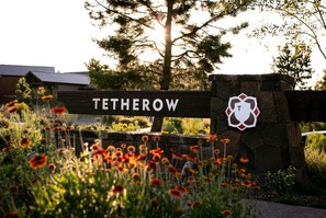 Welcome to Tetherow, nestled among lush vegetation and scenic views.