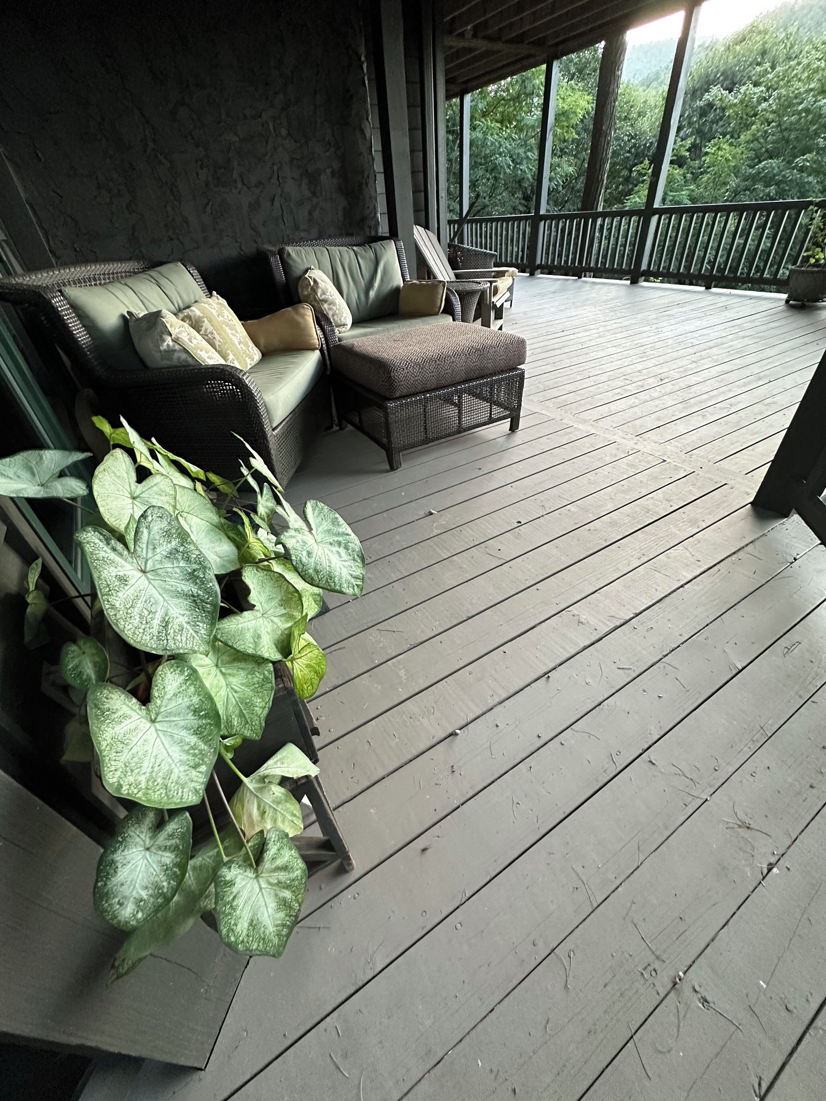 A covered porch with a cushioned seating area, a potted plant, and a view of a forested area.