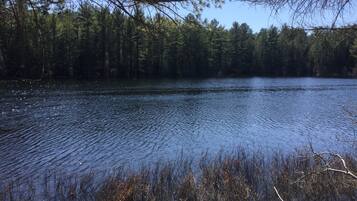 A calm lake surrounded by dense forest.