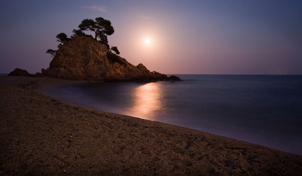Plage à proximité