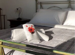 3 chambres, fer et planche Ă repasser, draps fournis