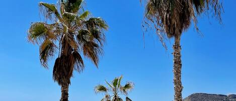 Una spiaggia nelle vicinanze