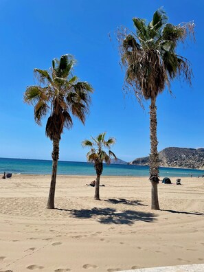 بالقرب من الشاطئ