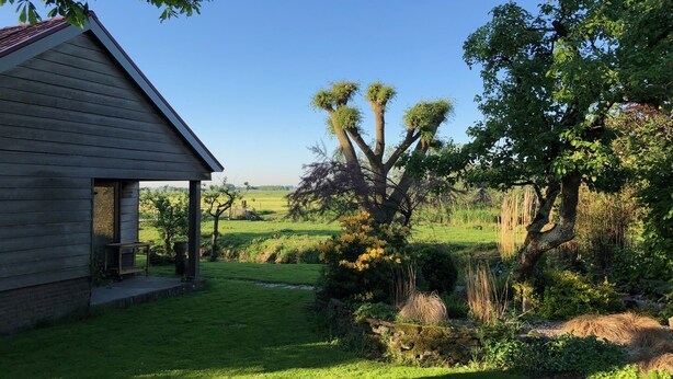 A wooden house with a porch, surrounded by a well-maintained lawn and various trees. - Sleeping in the countryside, near Amsterdam, The Hague and Utrecht (Bodegraven)