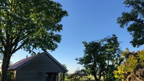 A rustic wooden cabin with a sloped roof, surrounded by lush greenery and trees. - Sleeping in the countryside, near Amsterdam, The Hague and Utrecht (Bodegraven)