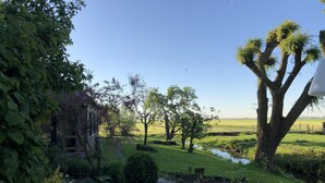 A garden with a stone pathway leading to a pond, surrounded by lush greenery and trees. - Sleeping in the countryside, near Amsterdam, The Hague and Utrecht (Bodegraven)
