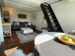 Smart TV, lettore DVD, libri, biblioteca musicale