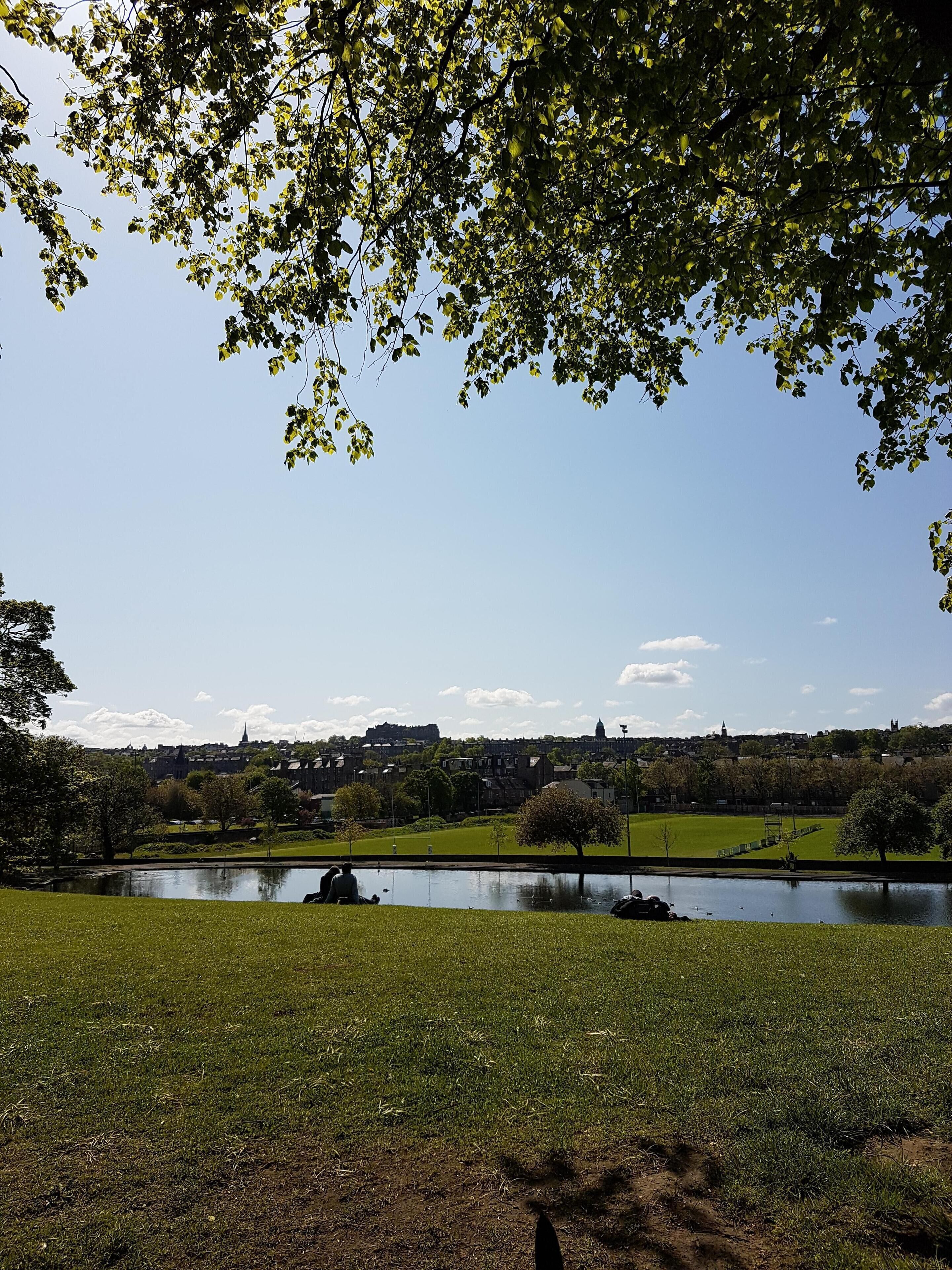 Un parc avec un étang, des arbres et une vue lointaine sur des bâtiments.