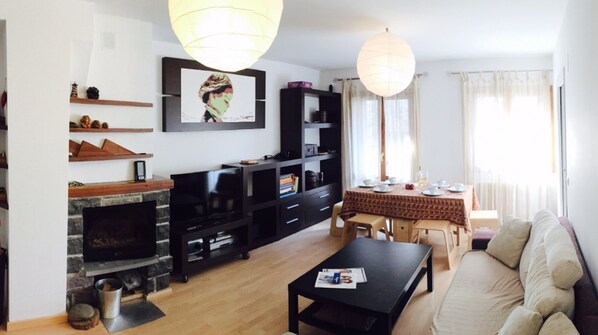 TV, fireplace, DVD player, books