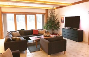 Télévision, cheminée, lecteur de DVD