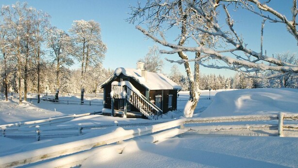 Een besneeuwde houten chalet met een steile trap naar de ingang, omringd door met sneeuw bedekte bomen en een heldere lucht.