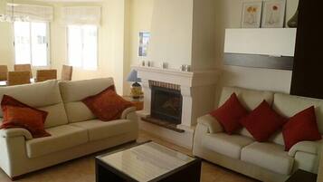 Televisor, llar de foc, reproductor de DVD i llibres