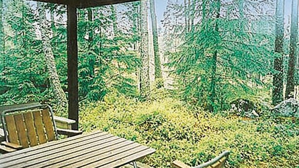Ein überdachter Sitzbereich im Freien mit Tisch und Stühlen, umgeben von dichtem Wald.