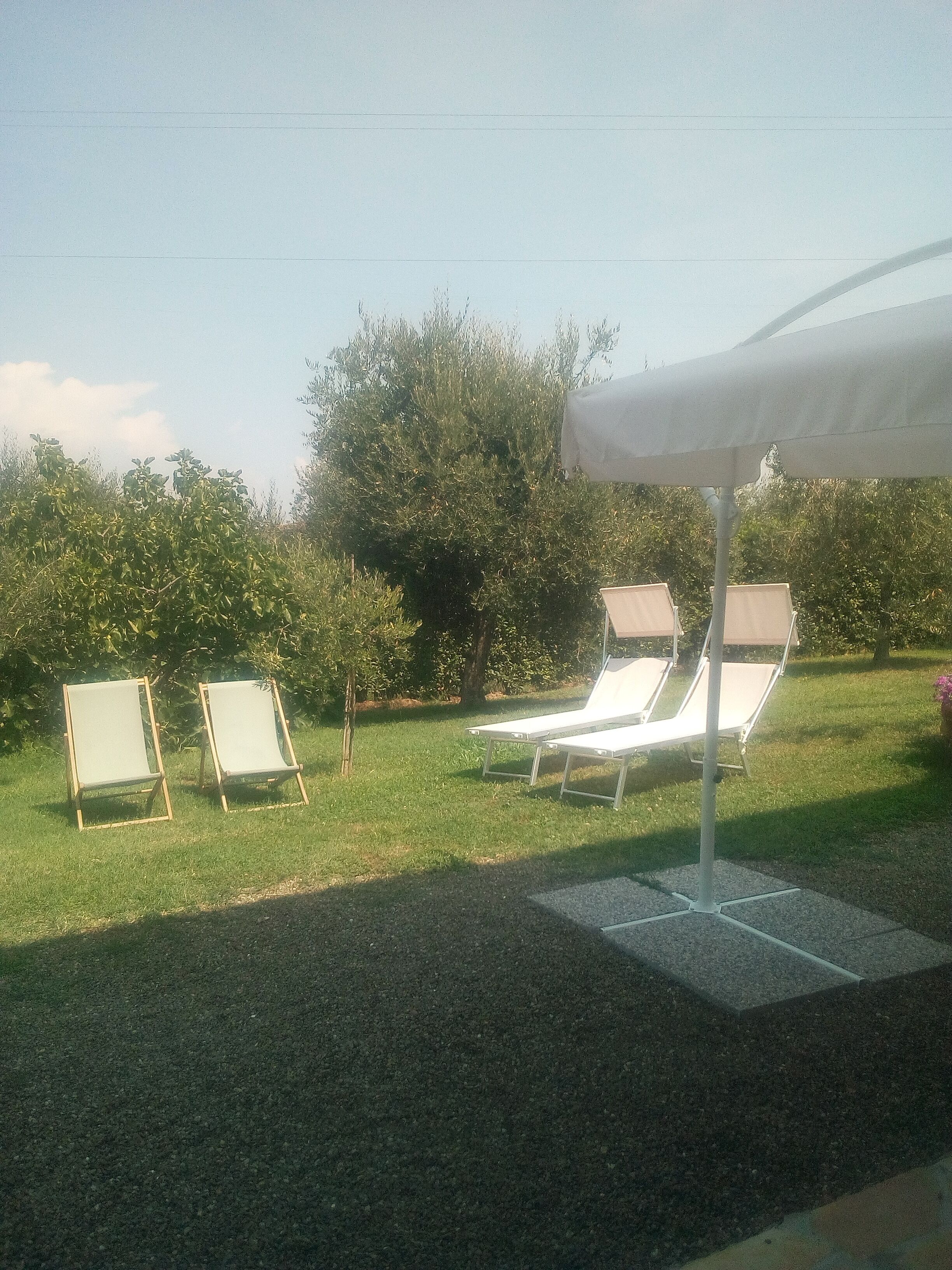 A grassy area with two lounge chairs and a canopy.