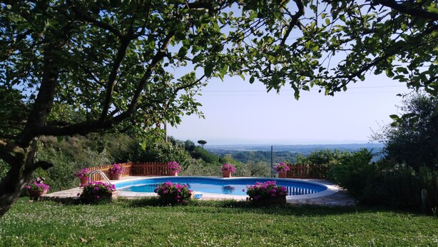 A swimming pool surrounded by a wooden deck, with a view of the landscape in the background.