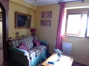 TV, fireplace, books