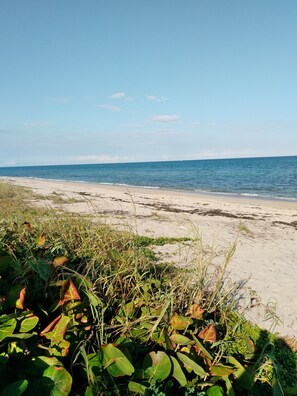 Beach nearby, sun loungers, beach towels