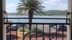Un balcón con vista a un lago, una palmera y coches aparcados.