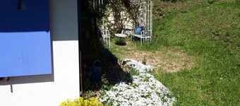 Nid douillet en pleine Nature 