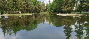 Chalet in den östlichen Pyrenäen, ausgestattet, warm und umgeben von Natur 