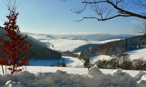 Sports d’hiver