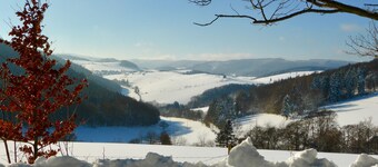 Holiday house with sauna in the forest edge - wonderful unobstructed view of the mountains