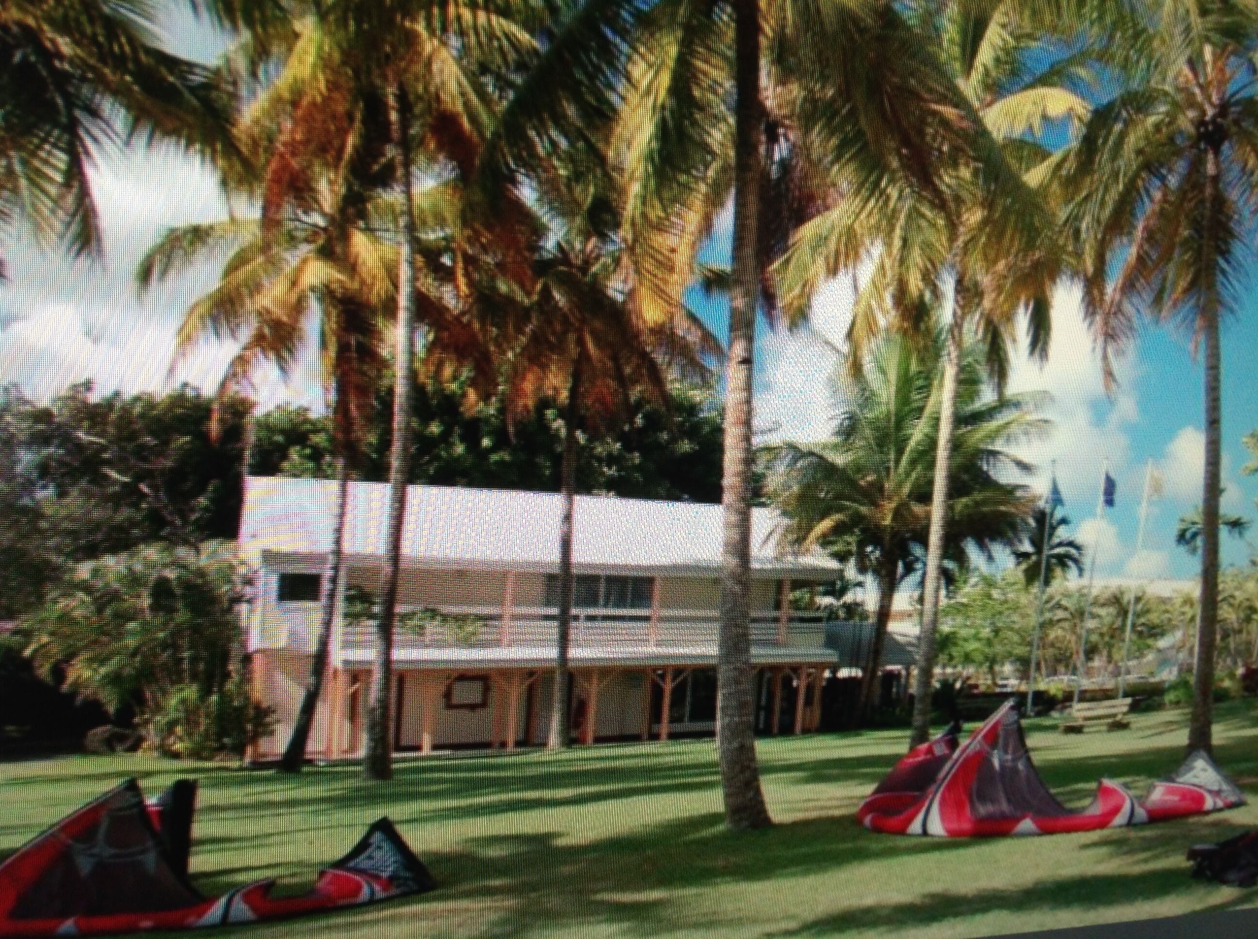 Un edificio de techo blanco con varias habitaciones, rodeado de palmeras y un espacio verde con tiendas de campaña.