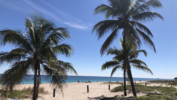 Strand